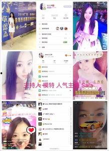 网红娱乐大爆料小说合集,娱乐大爆料小说合集深度解读  第2张